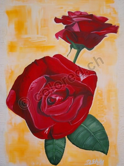 0038 - Rote Rosen Liebling